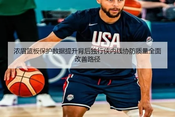 浓眉篮板保护数据提升背后独行侠内线协防质量全面改善路径