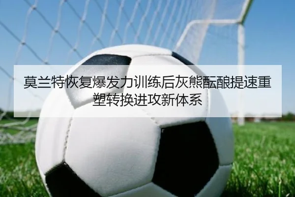 莫兰特恢复爆发力训练后灰熊酝酿提速重塑转换进攻新体系